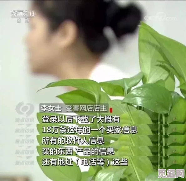 欧美在线操：震惊！数百万用户信息泄露，黑客团伙曝光隐私交易内幕，引发全球关注与恐慌！
