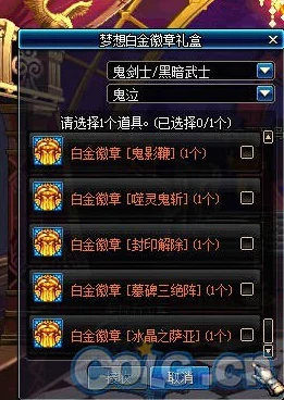 DNF鬼泣角色白金徽章最适合镶嵌在哪个装备部位