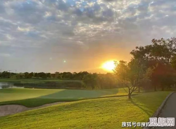 震惊！黄色片软件免费，用户数量激增至百万，背后真相令人瞠目结舌！黄色片软件免费！