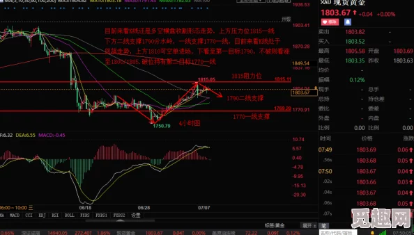 日本欧美毛片一区二区：震惊！最新调查揭示隐藏在娱乐行业背后的不为人知的秘密与丑闻！