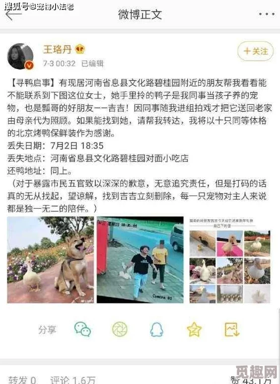 毛B片引发热议，网友纷纷表示对其内容的看法各异，争论不断