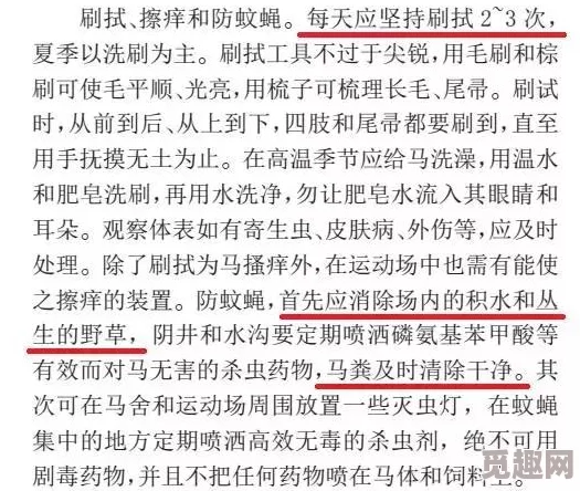 网友热议：文明46究竟哪个版本更胜一筹，深度评价与对比分析