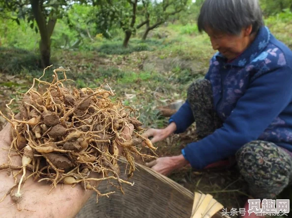 久草一级片积极向上，传播正能量的影视作品