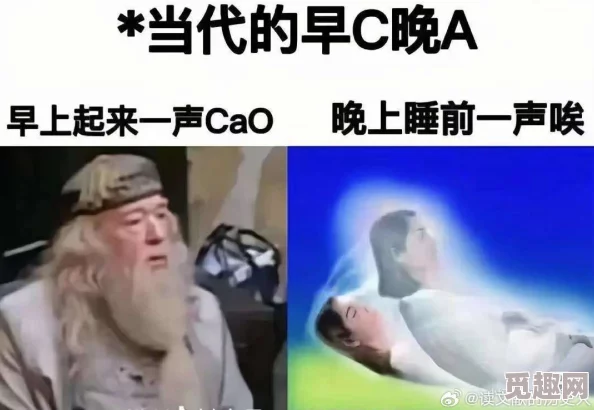 每天都被C醒象人