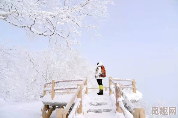 雪洗天下上海假期让心灵放松与自然亲密接触享受生活的美好时光