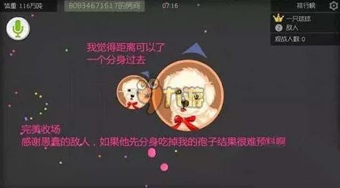 球球大作战分身吃孢子高级引诱技巧大揭秘，惊喜消息：新增策略助你轻松称霸战场！