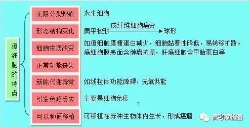 体内精69XXXXX研究取得突破性进展实验结果积极进入临床试验阶段