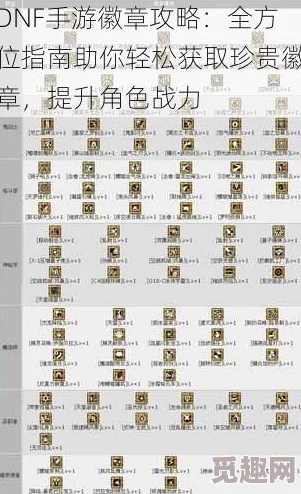 DNF全新爆料：哪些徽章能有效增加角色抗性解析