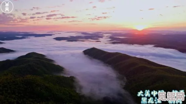 大地资源视频在线看高清纪录片《地球脉动》第二季全10集