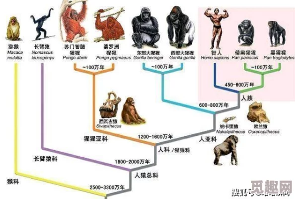 异生物博士的乐园新物种发现引发连锁反应生态系统面临巨大挑战