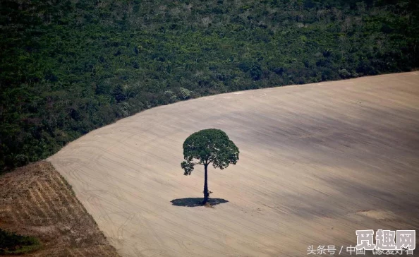 天堂网www天堂在线资源库现已更新海量高清视频资源等你来看