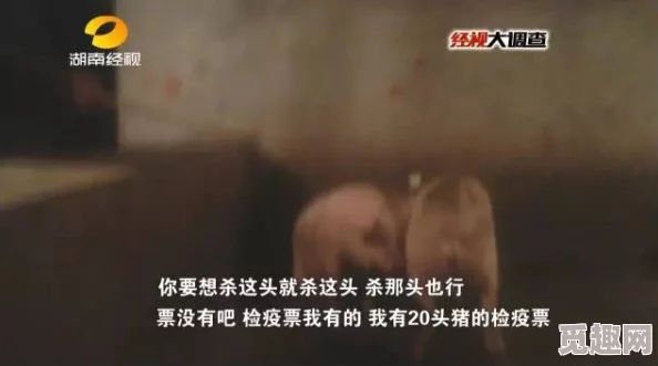 无修h肉片里番在线观看已删除相关内容，请勿传播违规信息