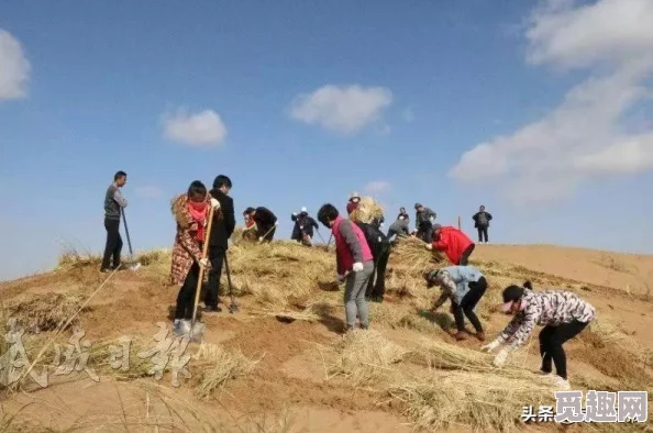 玖玖草为何能有效改善肌肤问题让人们爱不释手