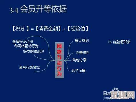 《costudy》会员开通方法，详细步骤解析与技巧分享