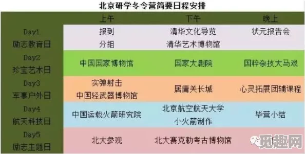 2025年热门话题：多娜多娜怀孕应对策略，探索虚拟怀孕功能与社会新趋势