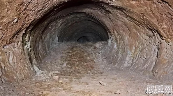 2025热门游戏《奇异小队》全攻略:圣物解析+传记揭秘+物品收集+护身符搭配+多元模式探索+成就解锁指南 2025热门游戏《奇异小队》全攻略:圣物解析+传记揭秘+物品收集+护身符搭配+多元模式探索+成就解锁指南