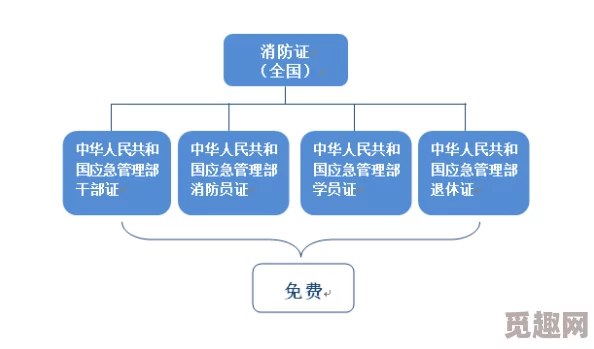 2025热门双点医院全流程攻略秘籍与高效管理指南专区